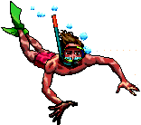 Snorkeller